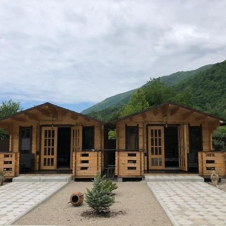 Vila Olginka Gagra Exteriér fotografie