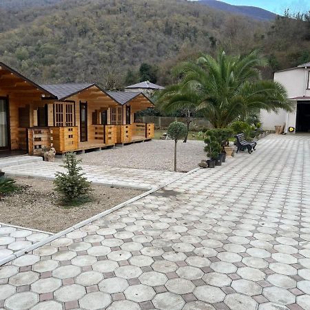Vila Olginka Gagra Exteriér fotografie