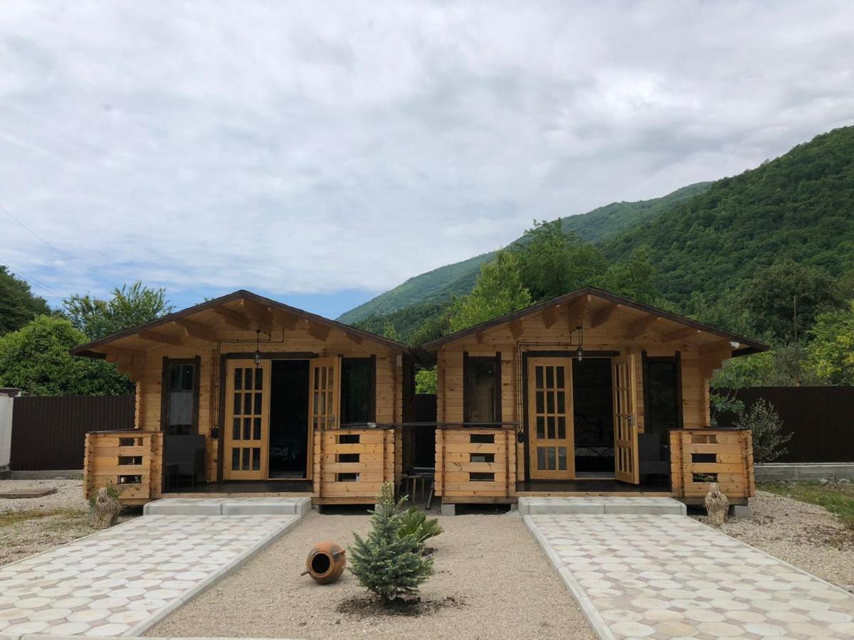 Vila Olginka Gagra Exteriér fotografie