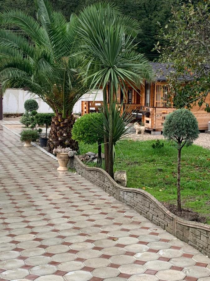 Vila Olginka Gagra Exteriér fotografie