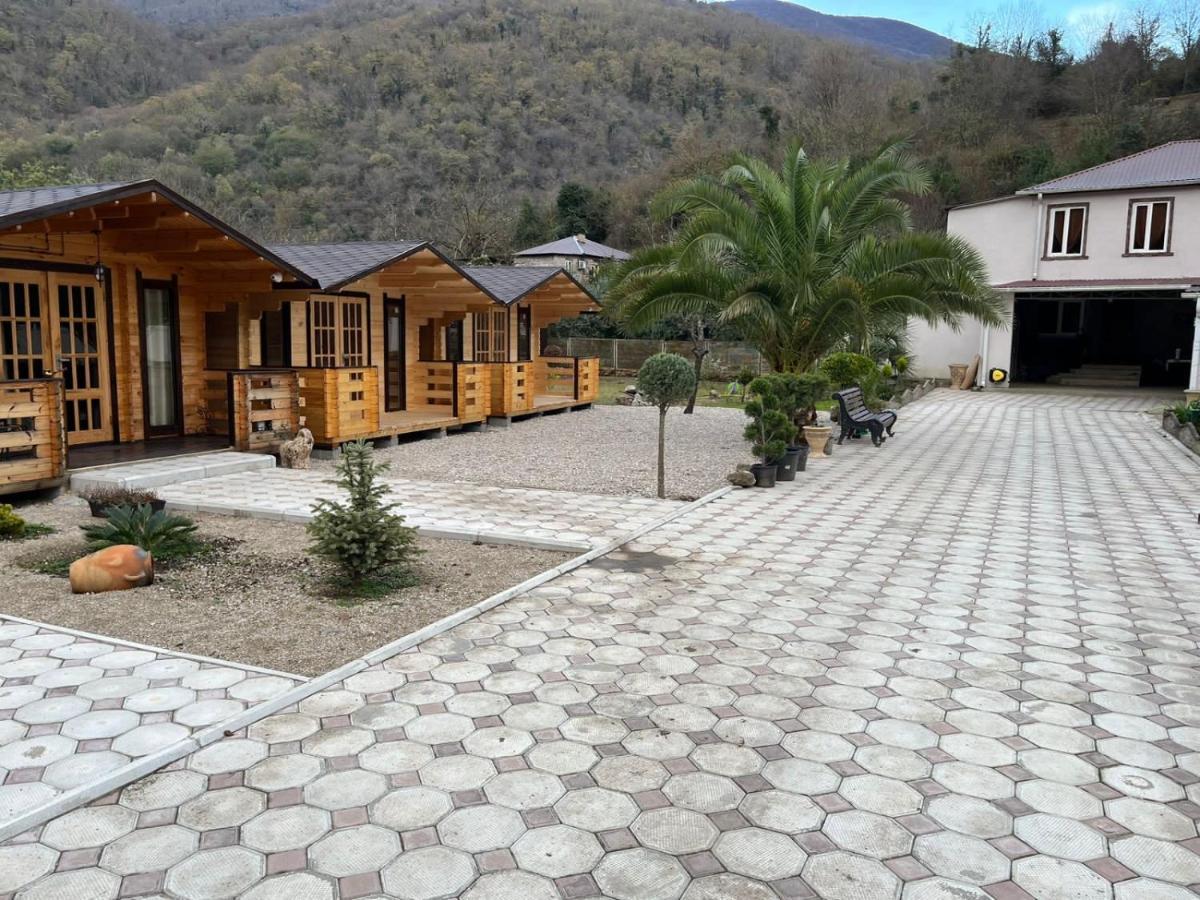 Vila Olginka Gagra Exteriér fotografie