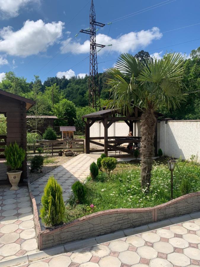 Vila Olginka Gagra Exteriér fotografie