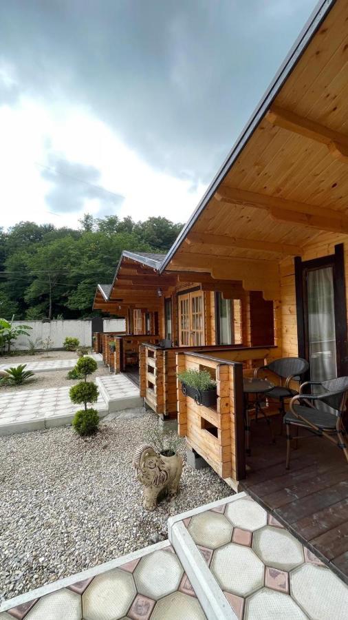 Vila Olginka Gagra Exteriér fotografie