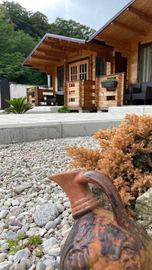 Vila Olginka Gagra Exteriér fotografie