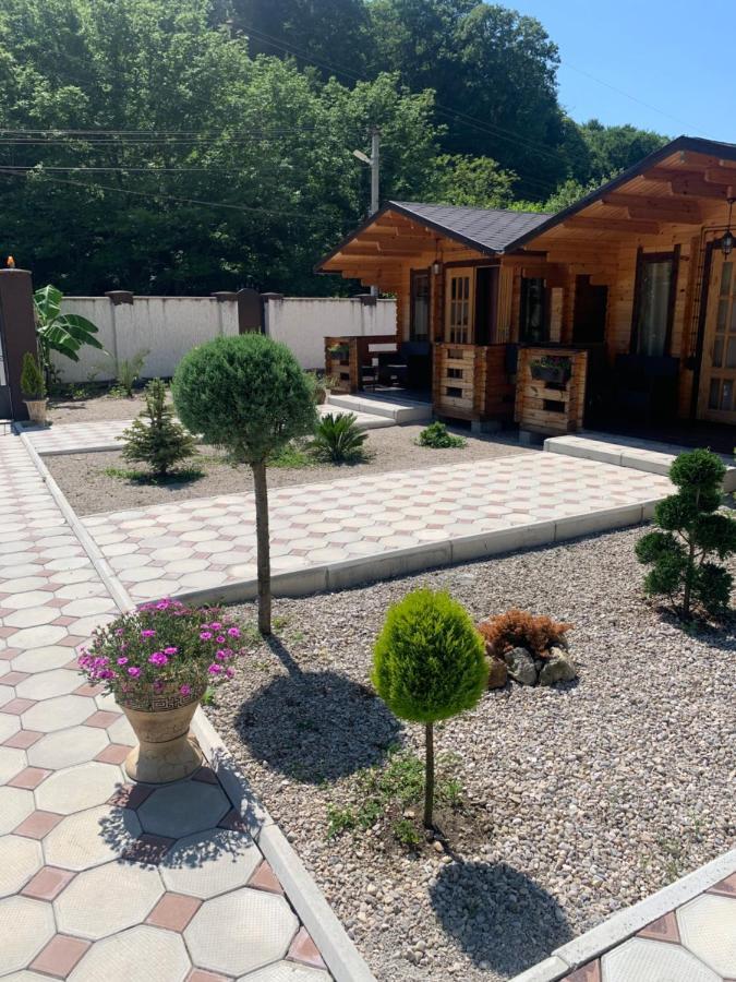Vila Olginka Gagra Exteriér fotografie